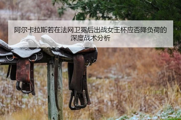 a-er-ka-la-si-ruo-zai-fa-wang-wei-mian-hou-chu-zhan-nv-wang-bei-ying-fou-jiang-fu-he-de-shen-du-zhan-shu-fen-xi-2-238.jpg